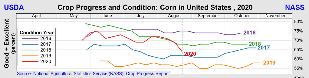corn crop conditions